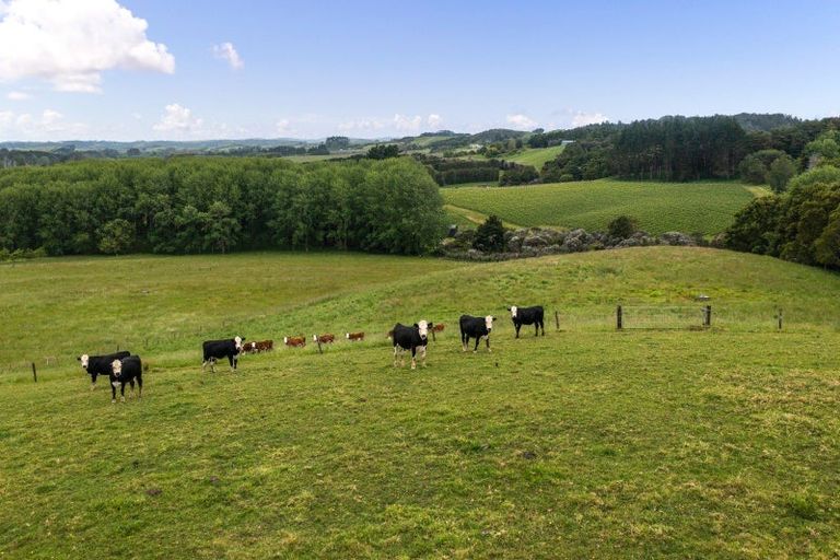 Photo of property in 99 Anderson Road, Matakana, Warkworth, 0985