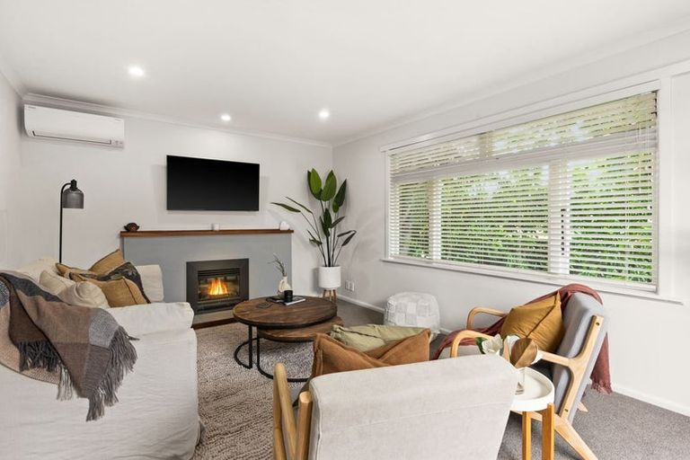 Photo of property in 804 Churchill Street, Akina, Hastings, 4122