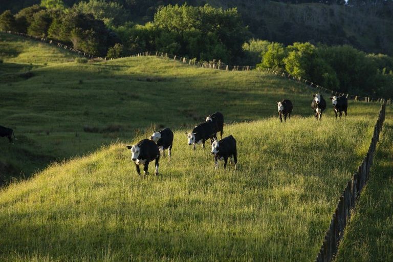 Photo of property in 749 Kanakanaia Road, Te Karaka, 4091