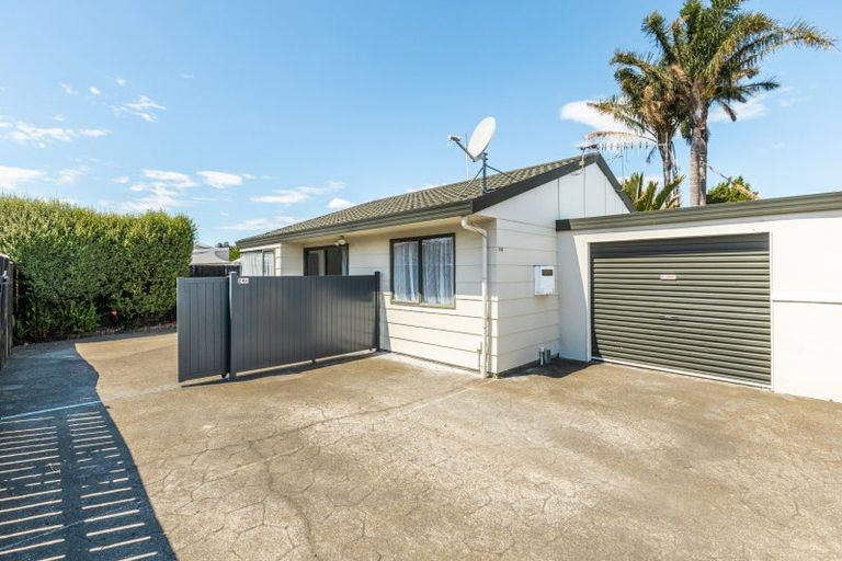 Photo of property in 24b Ashridge Road, Napier South, Napier, 4110