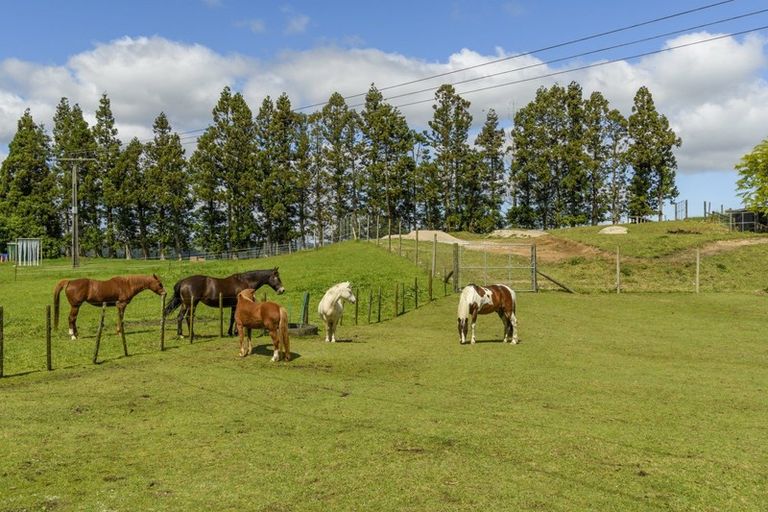 Photo of property in 450 Mclaren Falls Road, Omanawa, Tauranga, 3171