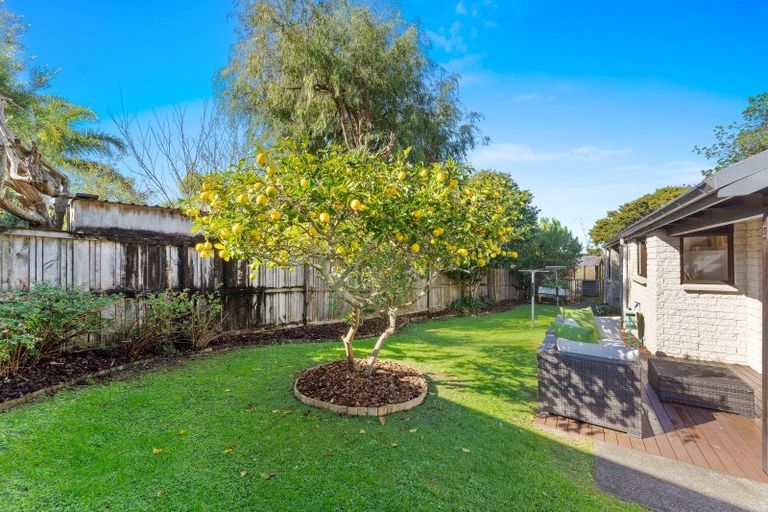 Photo of property in 5 Totara Grove, Hillcrest, Auckland, 0627