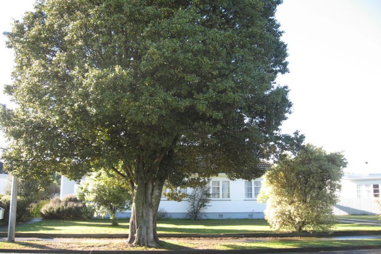 Photo of property in 56 Bedford Road, Marewa, Napier, 4110