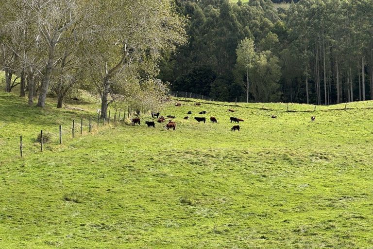 Photo of property in 61 Whites Road, Seacliff, Waikouaiti, 9471