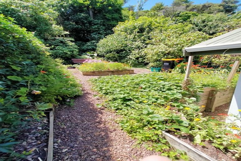 Photo of property in 3b Otuturu Creek Road, Ruamahunga, Thames, 3575