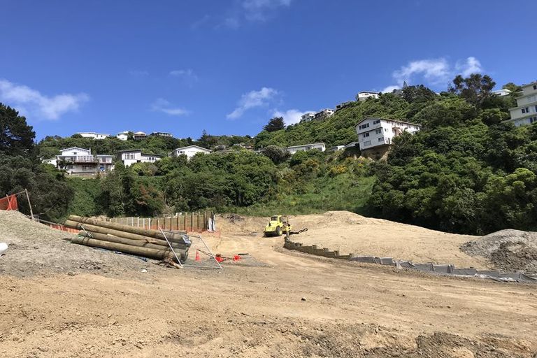 Photo of property in 37 Priscilla Crescent, Kingston, Wellington, 6021