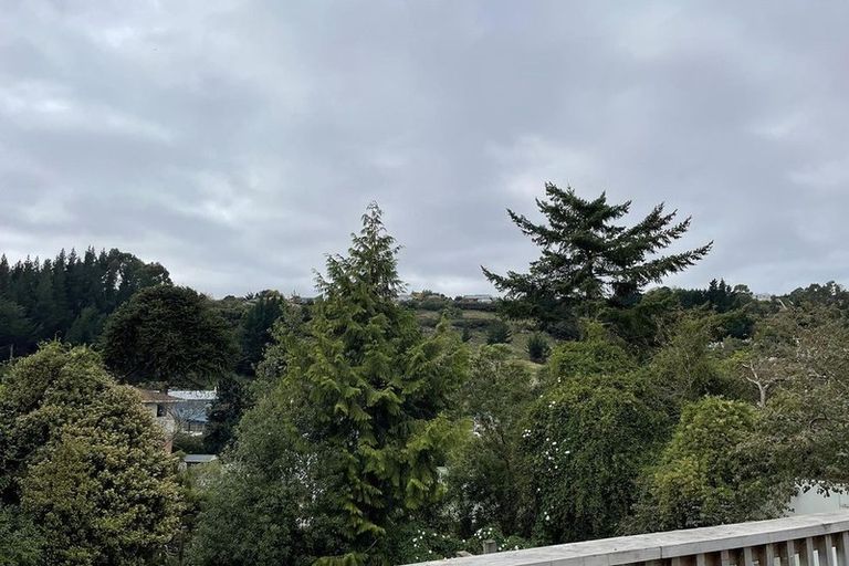 Photo of property in 10 Salisbury Road, Bradford, Dunedin, 9011