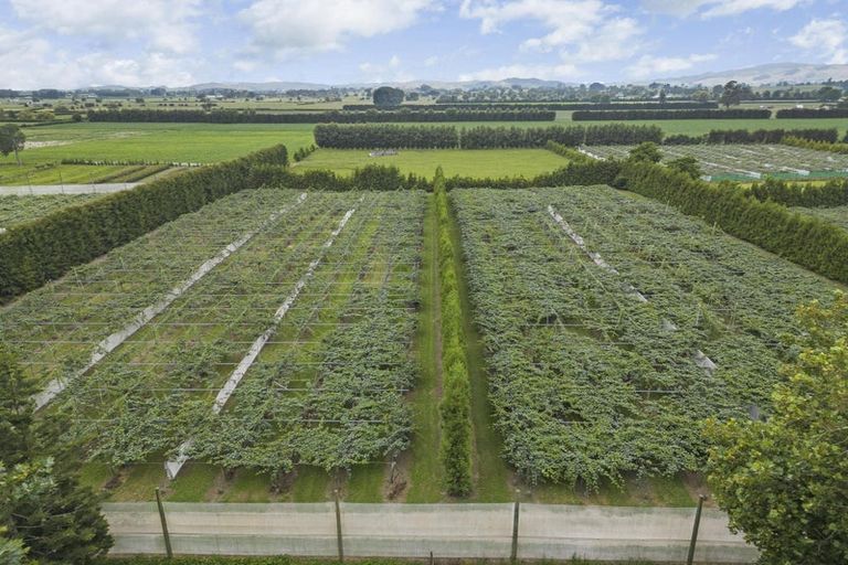 Photo of property in 566 Marychurch Road, Matangi, Hamilton, 3284