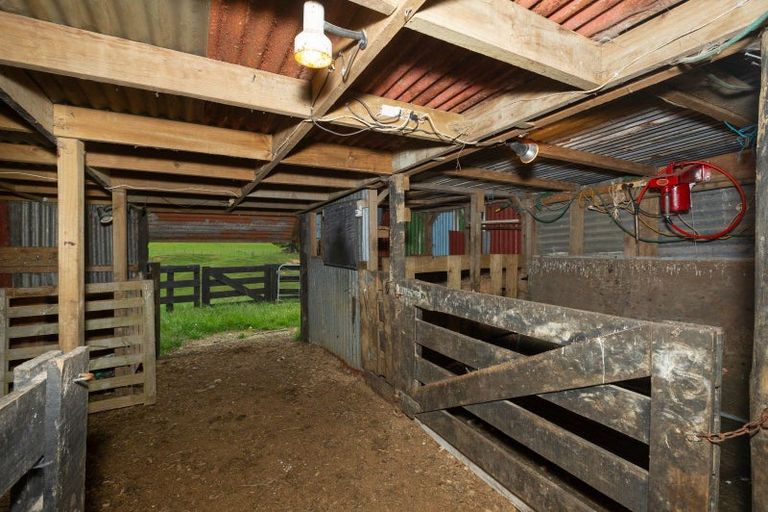 Photo of property in 775 Whakamarama Road, Whakamarama, Tauranga, 3179