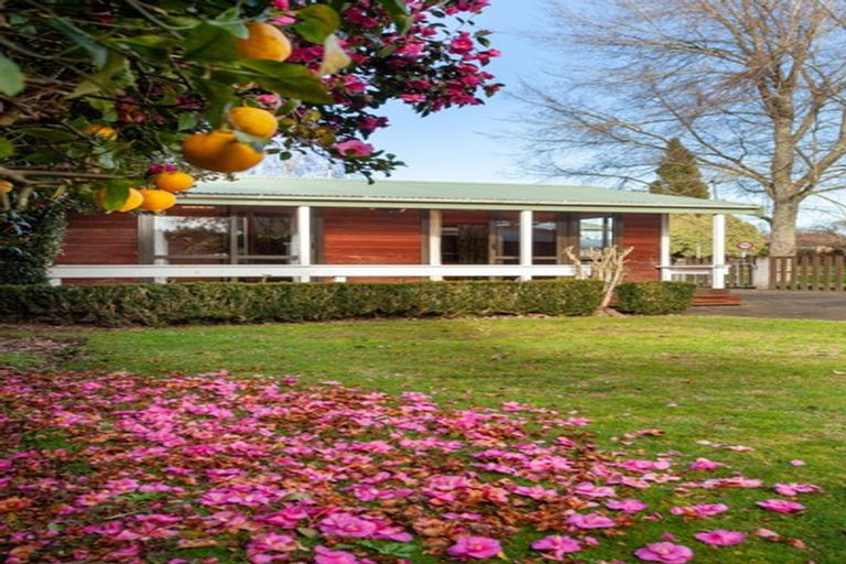 Photo of property in 90 Rawhiti Avenue, Matamata, 3400