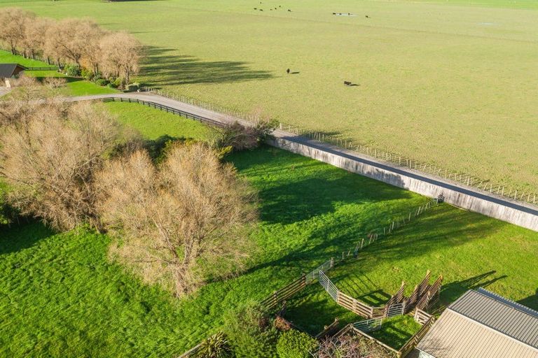 Photo of property in 51 Jellicoe Street, Greytown, 5712