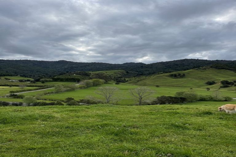 Photo of property in 287 Wentworth Valley Road, Whangamata, 3691