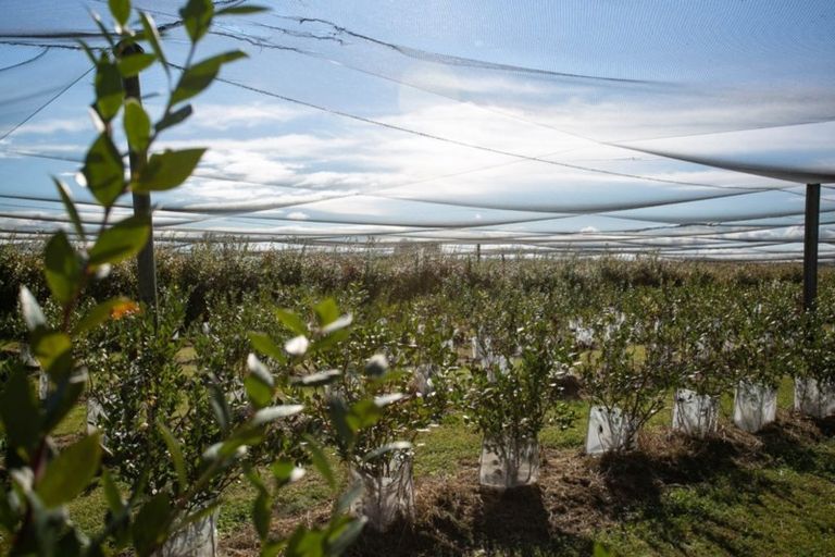 Photo of property in 1/3200 Cambridge Road, Rotoorangi, Cambridge, 3495