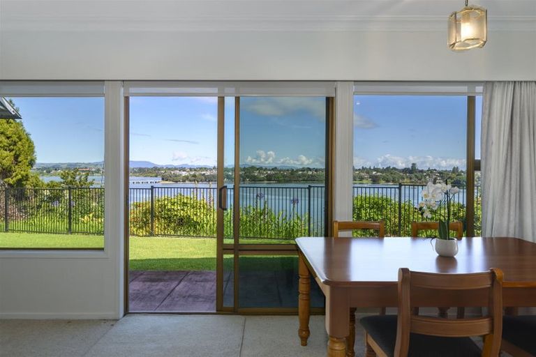 Photo of property in 43 Vine Avenue, Maungatapu, Tauranga, 3112
