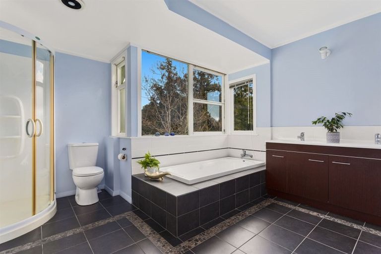 Photo of property in 674 White Pine Bush Road, White Pine Bush, Whakatane, 3191