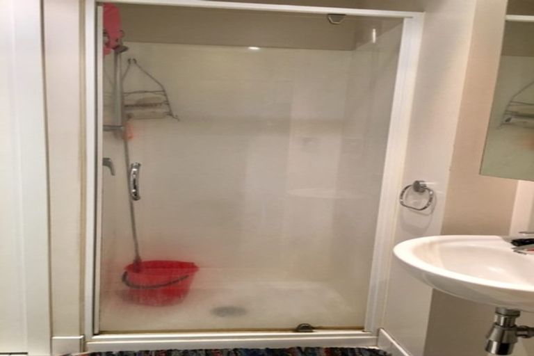 Photo of property in 53 Cook Street, Hamilton East, Hamilton, 3216