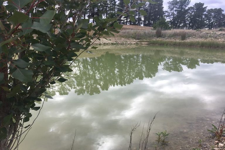 Photo of property in 456 Springvale Road, Springvale, Alexandra, 9393