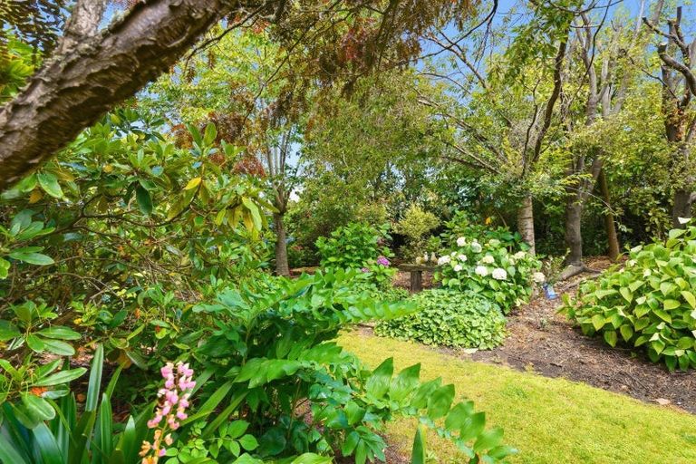 Photo of property in 5 Newton Place, Amberley, 7410