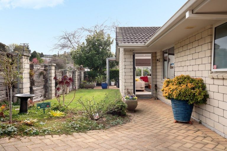 Photo of property in 1 Darraghs Lane, Brookfield, Tauranga, 3110