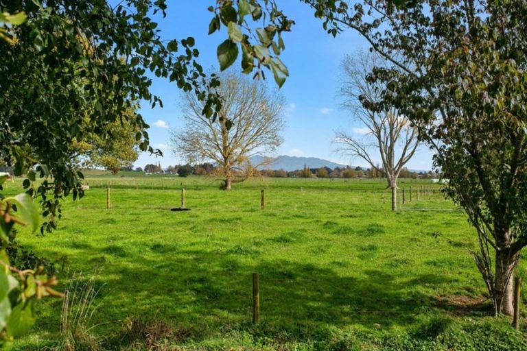 Photo of property in 66 Mill Road, Ohaupo, 3881