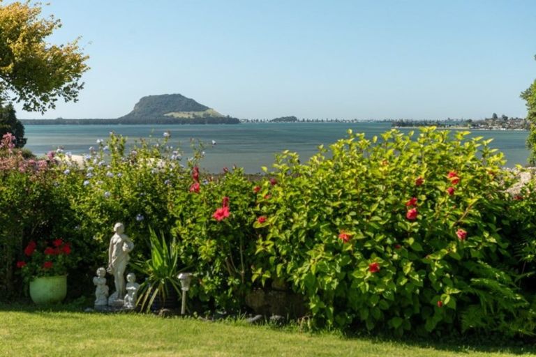 Photo of property in 40 Oikimoke Road, Te Puna, Tauranga, 3176