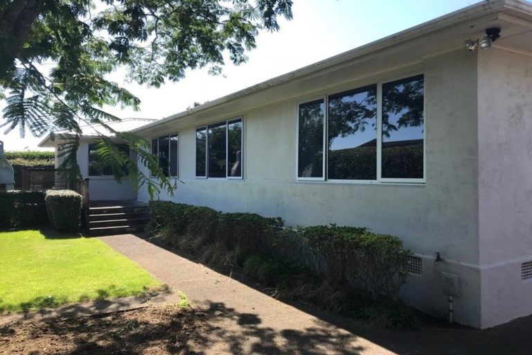 Photo of property in 85 Wallace Place, Westown, New Plymouth, 4310