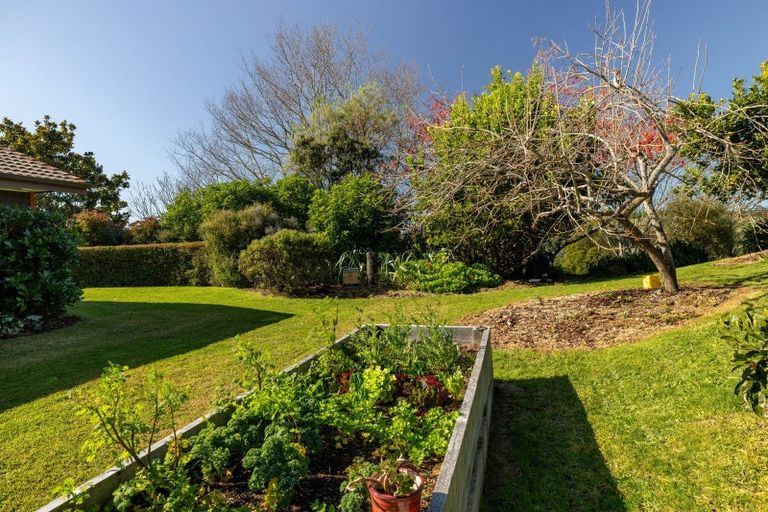 Photo of property in 196 Whakamarama Road, Whakamarama, Tauranga, 3179