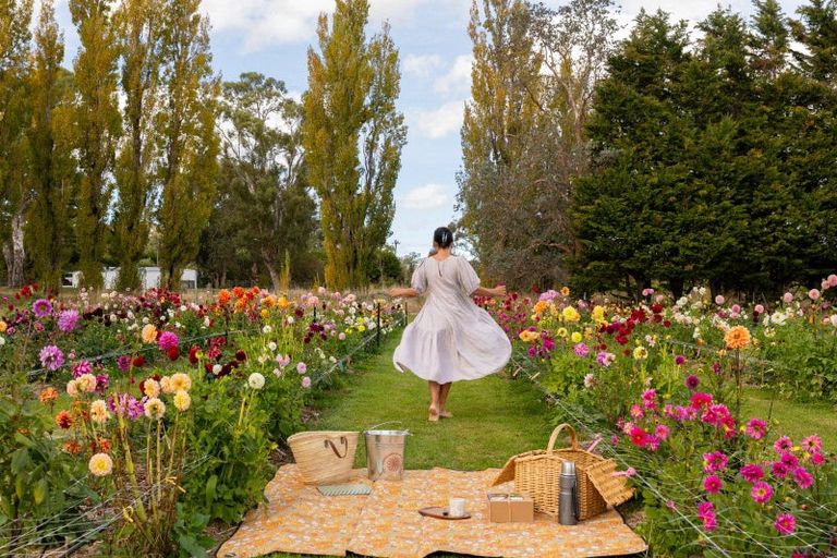 Photo of property in 58 Moroa Road, Tauwharenikau, Featherston, 5771