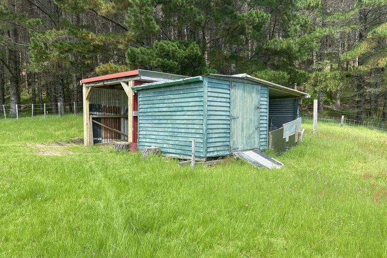 Photo of property in 4560 Pouto Road, Pouto, Te Kopuru, 0391