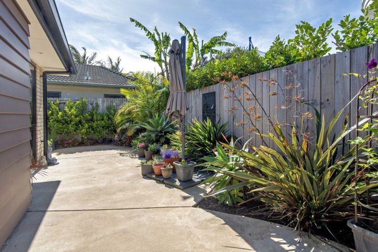 Photo of property in 38c James Street, Whakatane, 3120