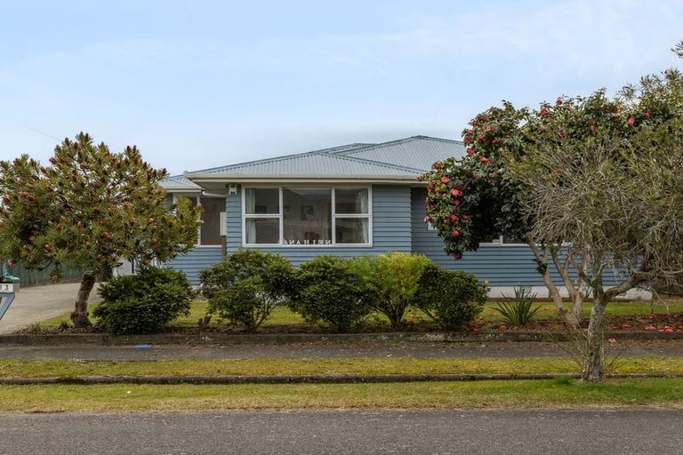 Photo of property in 13 Bowen Street, Levin, 5510