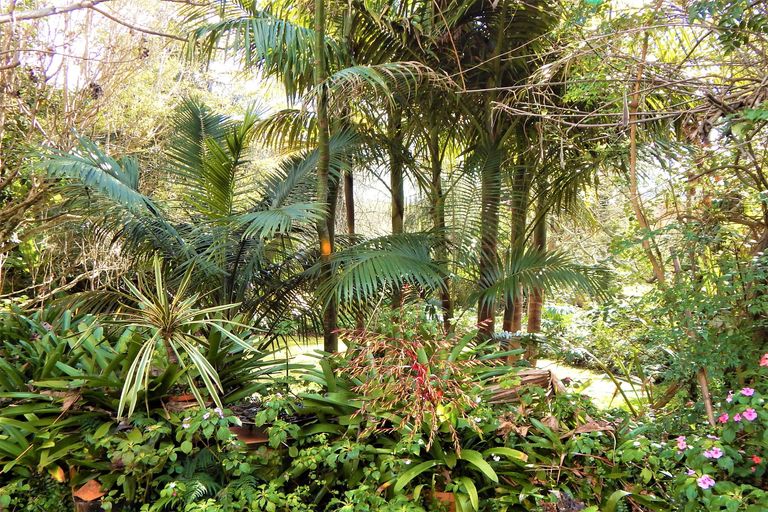 Photo of property in 12 Titoki Place, Kerikeri, 0294