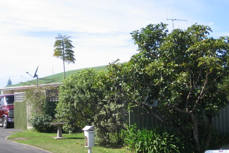 Photo of property in 117 Bellevue Road, Brookfield, Tauranga, 3110