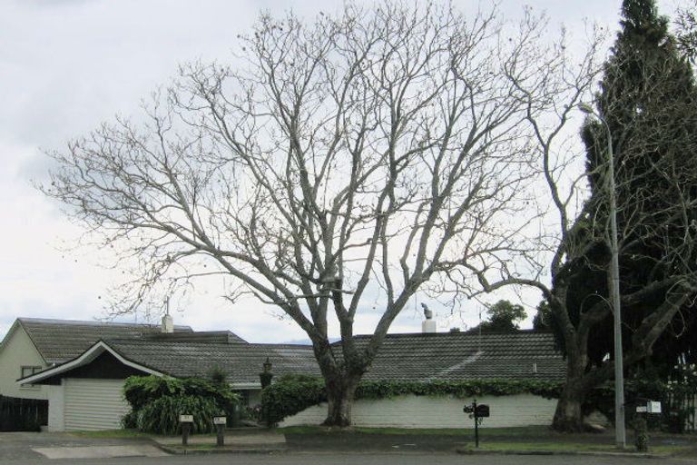 Photo of property in 25 Walnut Grove, Omokoroa, 3114