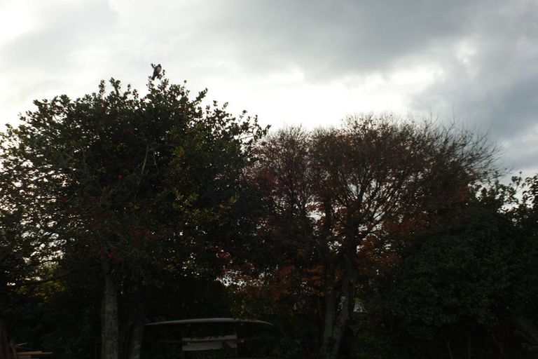 Photo of property in 8 Jocelyn Avenue, Motueka, 7120