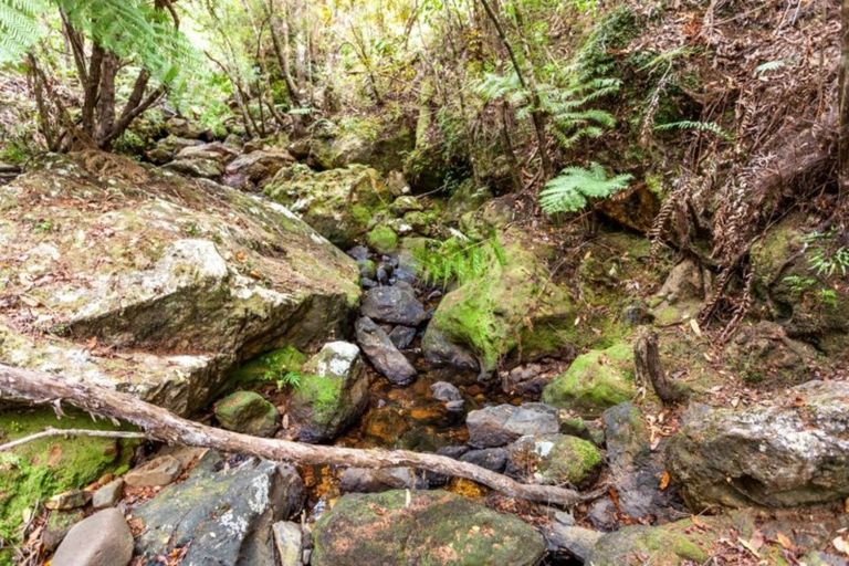 Photo of property in 125b Sailors Grave Road, Pumpkin Hill, Whitianga, 3591