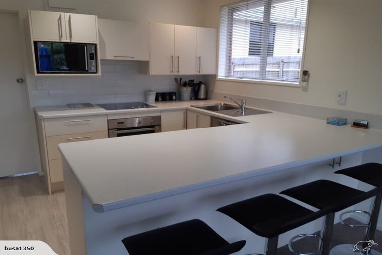 Photo of property in 6a Hereford Street, Roslyn, Dunedin, 9010