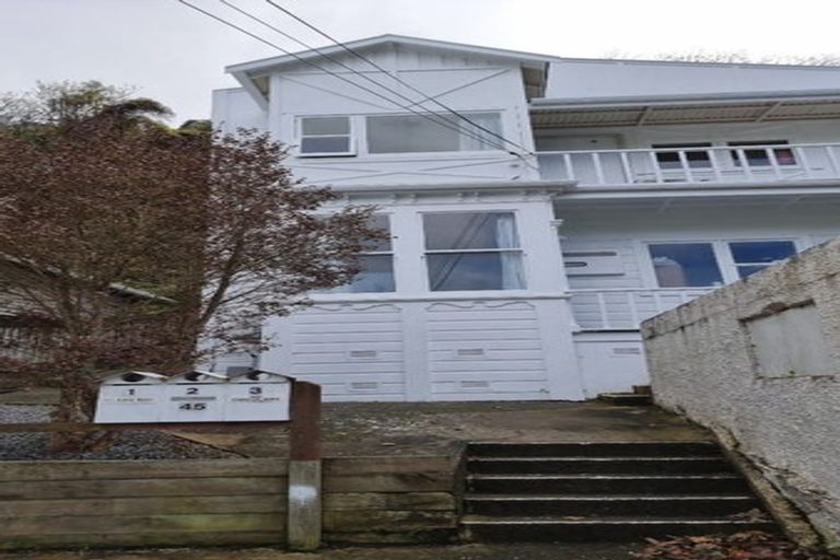 Photo of property in 45 Adams Terrace, Aro Valley, Wellington, 6021