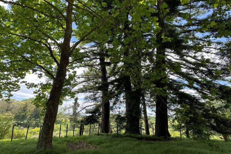 Photo of property in 126e Woodcock Road, Tamahere, Hamilton, 3283