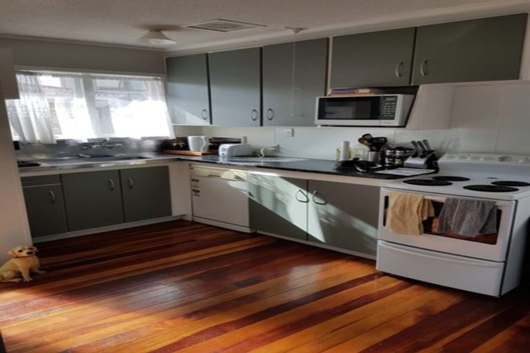 Photo of property in 30a Hogan Street, Hamilton East, Hamilton, 3216