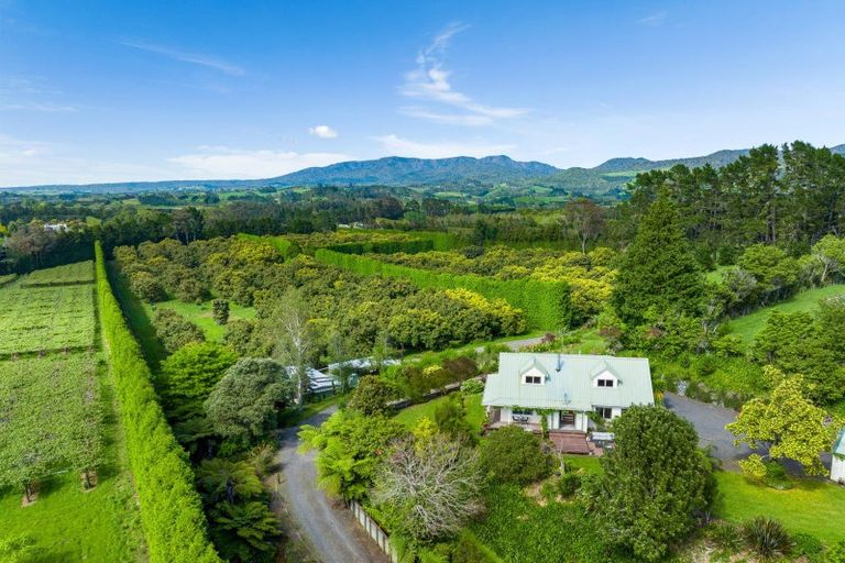 Photo of property in 39 Hot Springs Road, Tahawai, Katikati, 3178