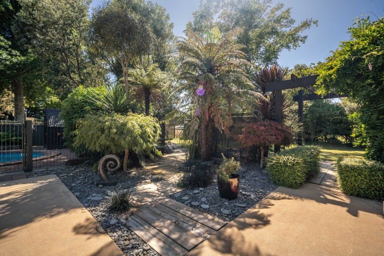 Photo of property in 41 Cowley Drive, Leamington, Cambridge, 3432