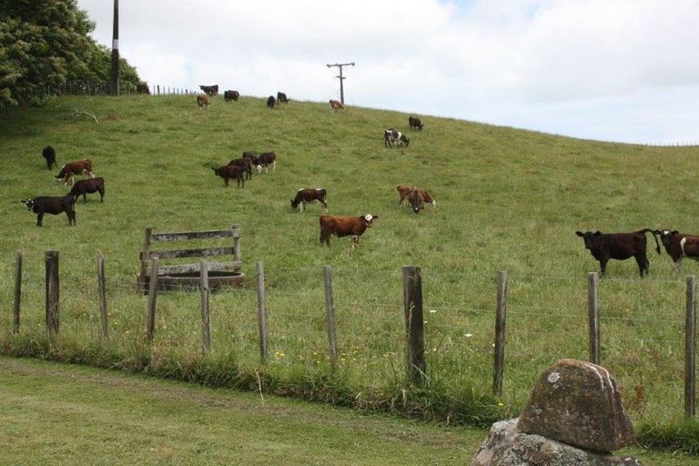 Photo of property in 143 Pond Road, Raglan, 3295