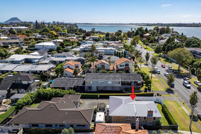 Photo of property in 65a Fraser Street, Tauranga South, Tauranga, 3112