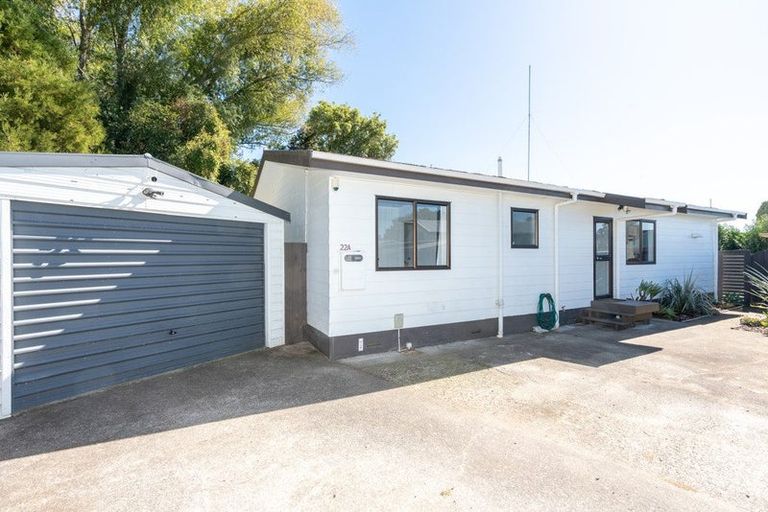 Photo of property in 22a Odlin Crescent, Nawton, Hamilton, 3200