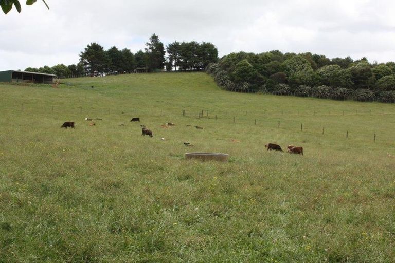 Photo of property in 143 Pond Road, Raglan, 3295