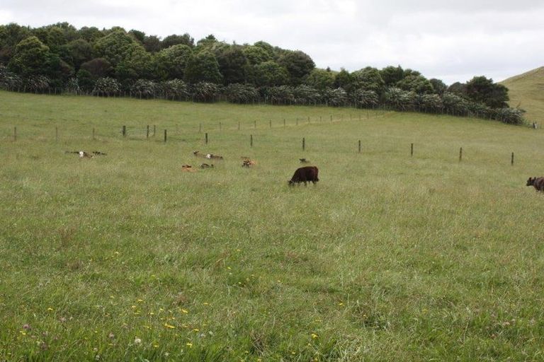 Photo of property in 143 Pond Road, Raglan, 3295