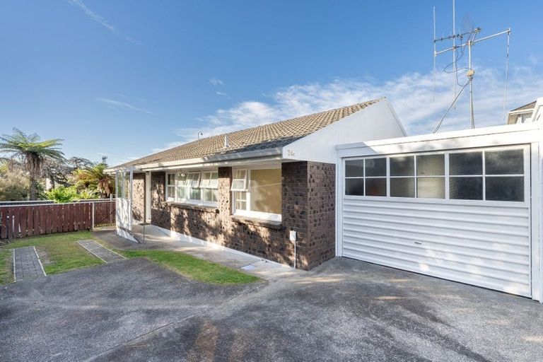 Photo of property in 24c Briarley Street, Tauranga South, Tauranga, 3112