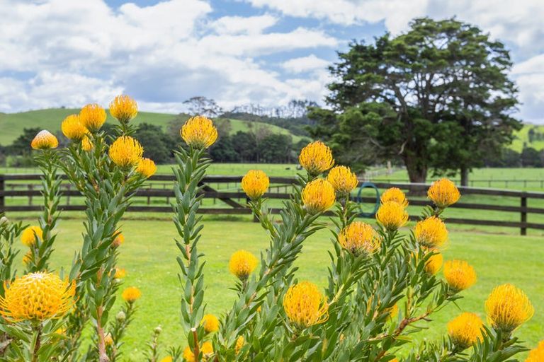 Photo of property in 145a Port Marsden Highway, Ruakaka, 0171