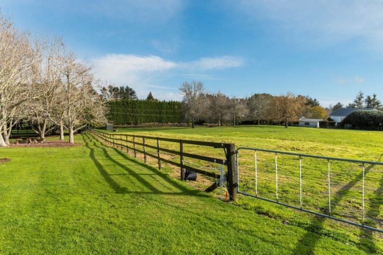 Photo of property in 131 Hereford Road, Oropi, Tauranga, 3173